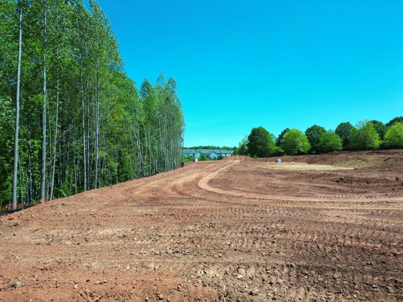 Large-Scale Land Clearing