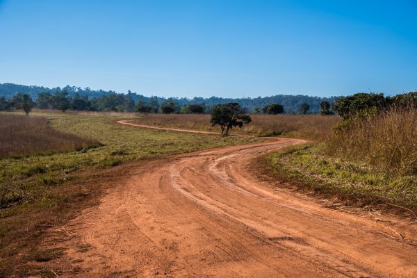 Dirt Driveway Repair in Canton