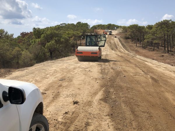 Cost of Driveway Grading in Canton