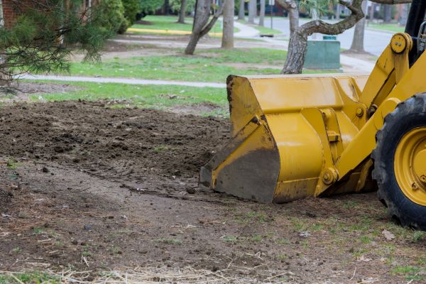 Backfilling Service in Canton