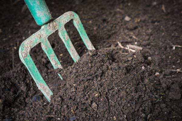 Cost of Topsoil Spreading in Canton