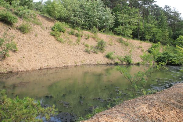 Cost of Pond Erosion Repair in Canton