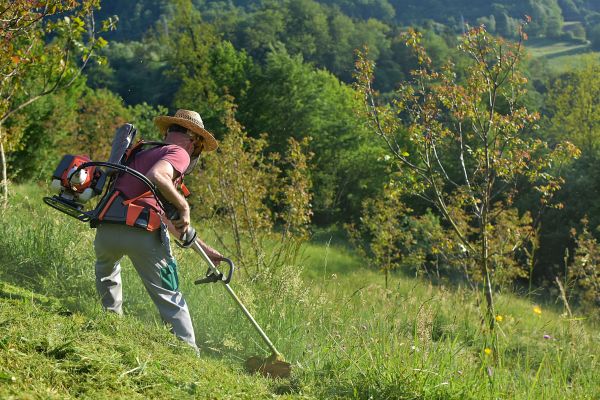 Cost of Slope Trimming in Canton